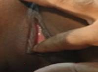 The Hoe from Panama Image 3
