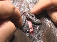 BLACK BBW PREVIEW.. SEXY CHOCOLATE COCOA BBW BIMARLEY GETS FUCKED BY BBC REDZILLA Image 3